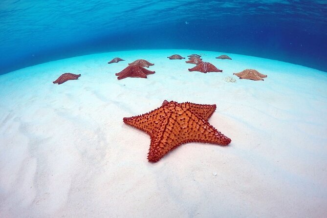 Cozumel El Cielo All Inclusive Tour from Cancun - Boat lunch and drinks: what’s included versus what you’ll miss