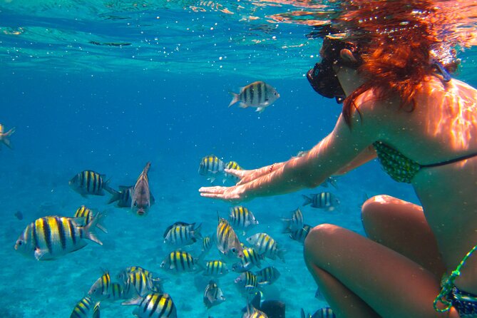 Cozumel El Cielo All Inclusive Tour from Cancun - Transportation and timing: how to avoid the most common stress points