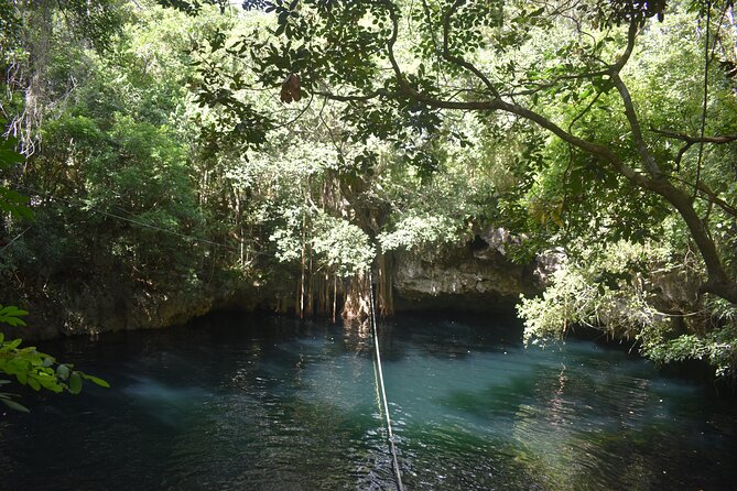 Discover 3 amazing cenotes. Includes transport & snack - Guides and the Vibe: Fun, Professional, and Focused on Safety
