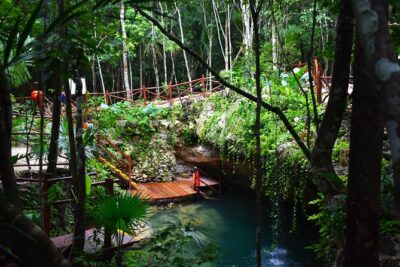 Discover 3 amazing cenotes. Includes transport & snack - The 5-Hour Schedule: Pickup, Registration, Swim Time, Back to Hotel