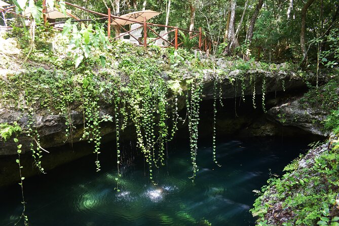 Discover 3 amazing cenotes. Includes transport & snack - What to Bring for a Comfortable Cenote Day