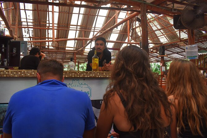 Discover 3 amazing cenotes. Includes transport & snack - When a Cenote Tour Is the Right Choice for You