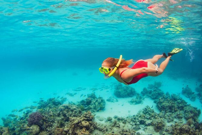 Discover Isla Contoy & Isla Mujeres: Nature, Snorkel & Beaches - Isla Mujeres: beach time with a side of downtown walking