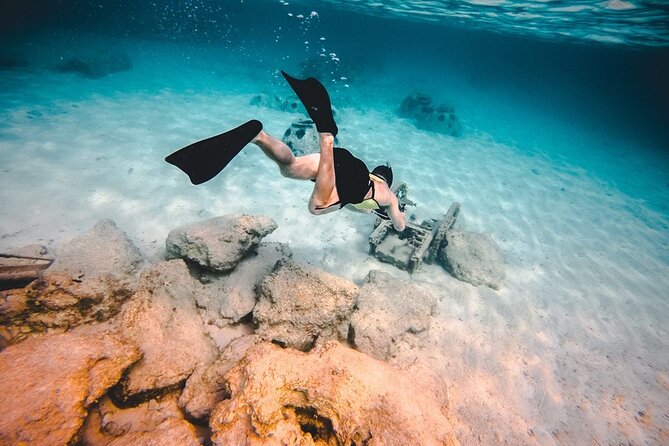 Discover Isla Contoy & Isla Mujeres: Nature, Snorkel & Beaches - Lunch and the open-bar setup: good value if you like sea-day perks