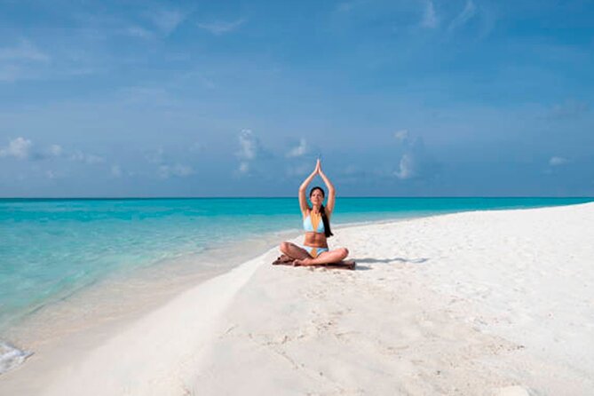 Discover Isla Contoy & Isla Mujeres: Nature, Snorkel & Beaches - Group size, crew energy, and how the day stays organized