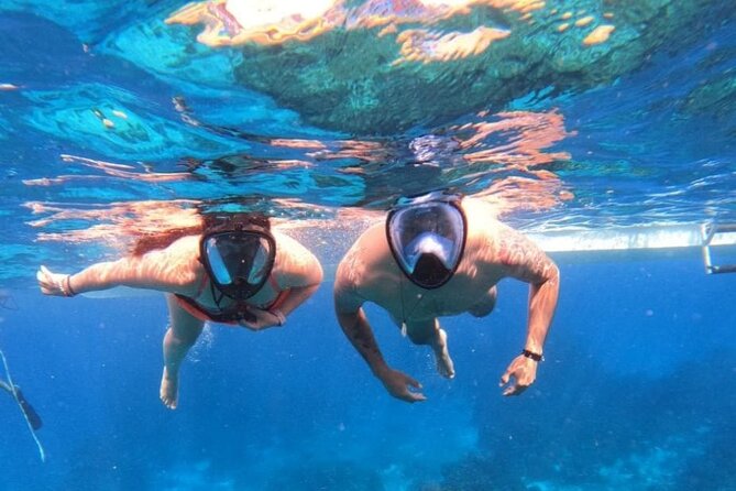 Discover Isla Contoy & Isla Mujeres: Nature, Snorkel & Beaches - Price and value: is $140 fair for what you get?