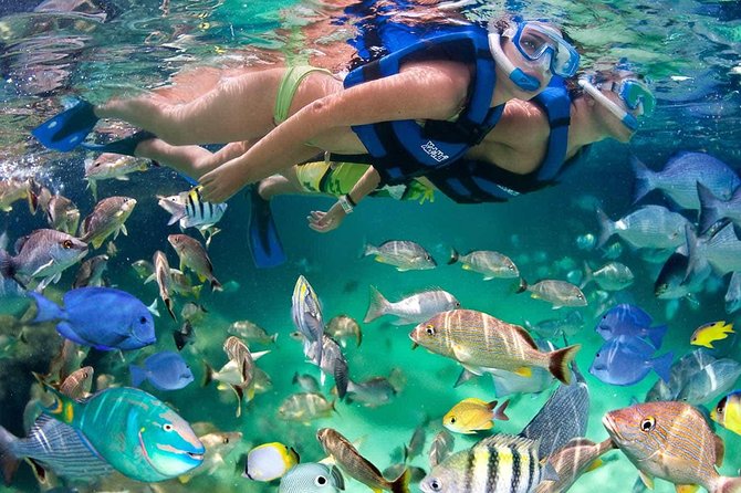 Discover Isla Mujeres tour with snorkel, buffet and open bar - Practical tips so your day goes smoothly