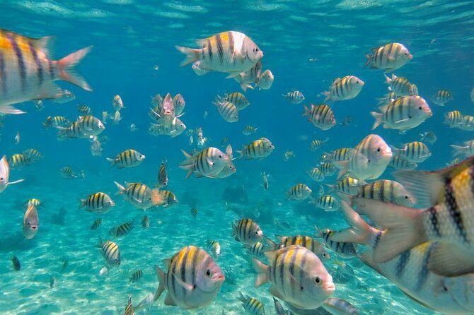 Discovering Isla Mujeres on a Double Decker Catamaran - Price and value: what $79 really buys you (and what can add up)