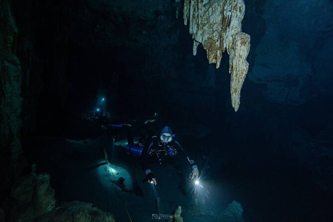 Diving in Cenotes: discovering the Mayan Underworld - What You’ll Learn Under the Water: Tips Built for Cenotes