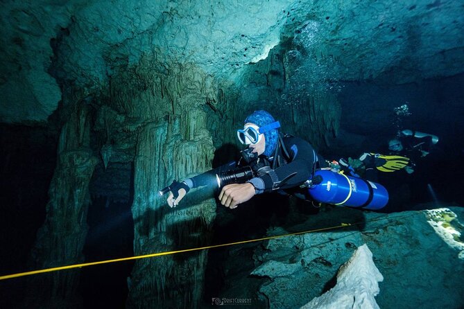 Diving in Cenotes: discovering the Mayan Underworld - Price and Value: What $239.05 Buys You