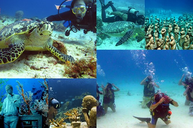 Diving + Muse - Isla Mujeres reef time: what 45 minutes can deliver