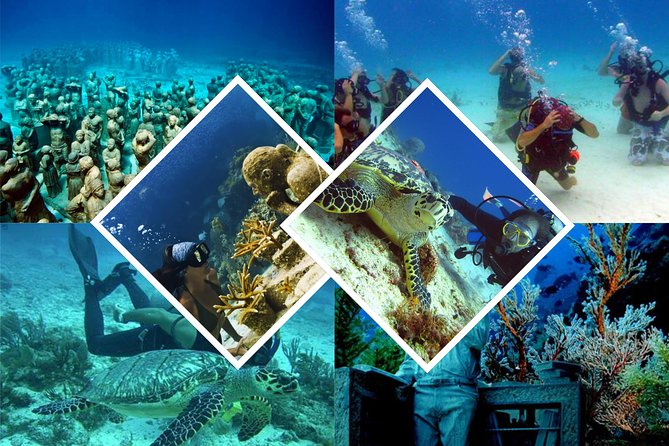 Diving + Muse - Group size and the English-language experience