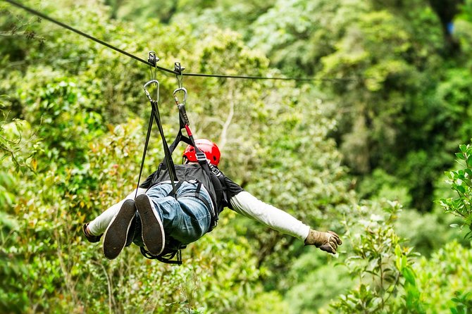 Drive An Atv, Live The Experience Of Ziplining And Swim On A Real Cenote - Swimming in a Real Cenote Maya: The Cold-Water Payoff