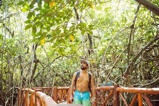Eco Adventure Cenotes Casa Tortuga!+ Tulum Ruins From Cancun & Playa Del Carmen - Mother Nature Monument and Tulum Letters: A Quick Photo Break