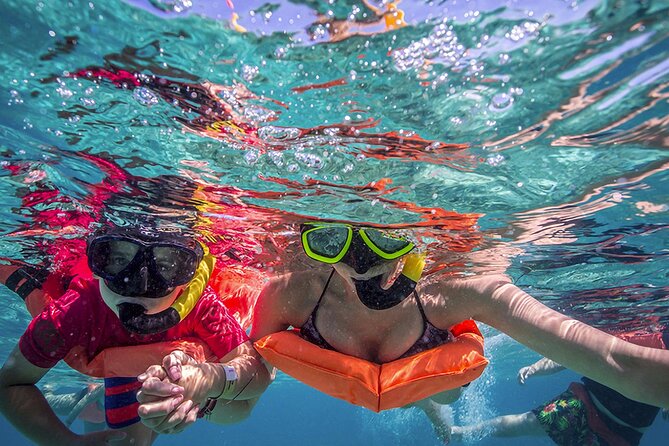 Eco Whale Shark Encounter - Food and drinks: snacks keep you human before and after the water
