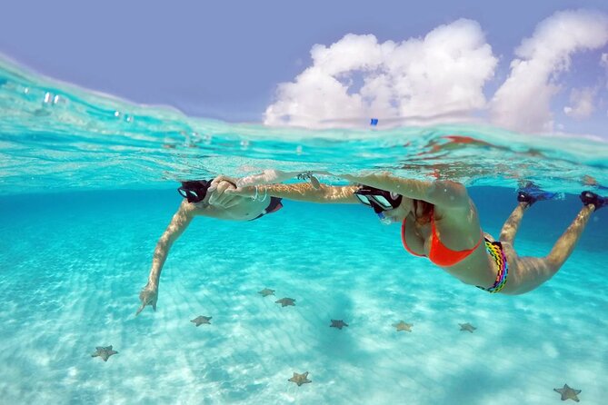 El cielo Cozumel From Cancún and round Transfer with Lunch - Price and Value: How $77 Adds Up (Plus the Mandatory Fee)