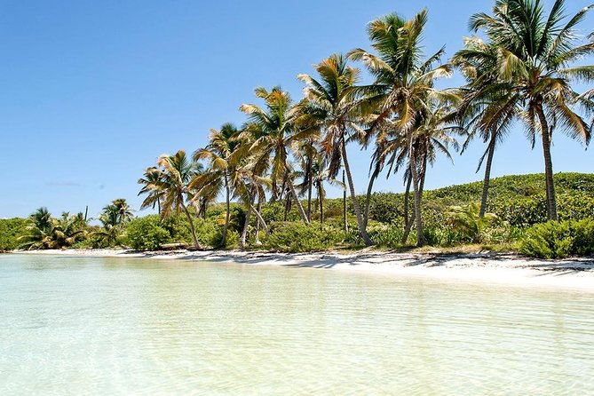 Excursion Isla Contoy & Isla Mujeres from Cancun - Why Isla Contoy feels different from a typical beach trip