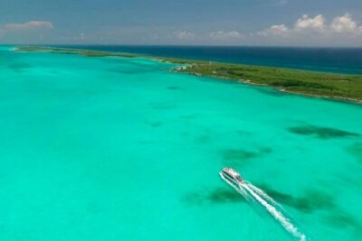 Excursion Isla Contoy & Isla Mujeres from Cancun - Isla Contoy walking time: birds, native plants, and a real eco feel