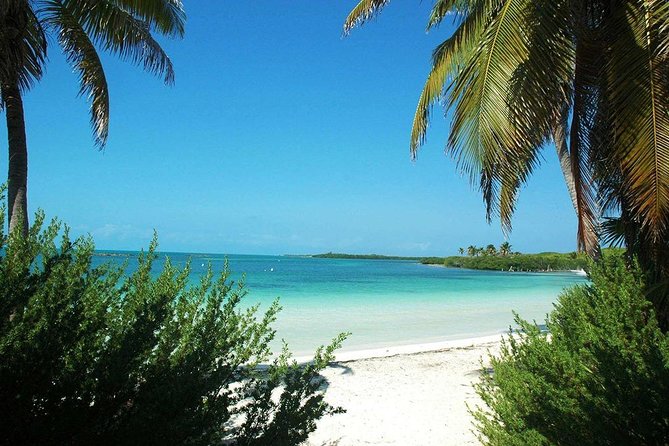 Excursion Isla Contoy & Isla Mujeres from Cancun - Food, open bar, and the pace of the day