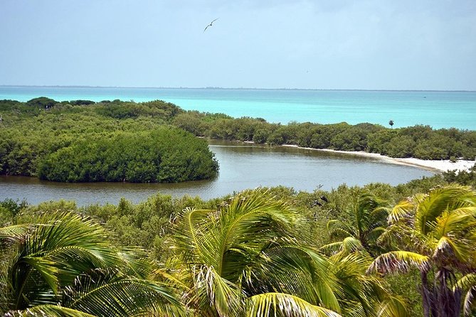 Excursion Isla Contoy & Isla Mujeres from Cancun - Group size and comfort on a day trip like this