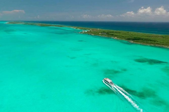 Excursion Isla Contoy & Isla Mujeres from Cancun - Isla Contoy walking time: birds, native plants, and a real eco feel