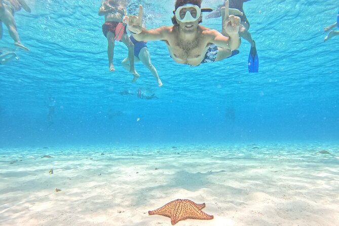 Excursion to Cozumel from Cancun - Key things I’d plan around