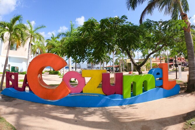 Excursion to Cozumel from Cancun - Stop 2: Playa El Cielo (clear-water snorkeling moments)