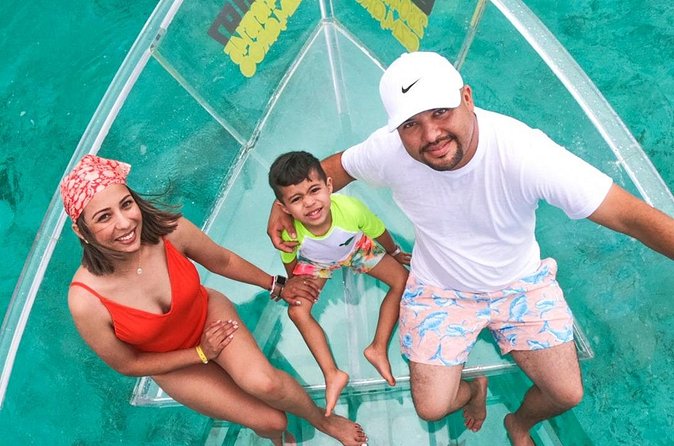 Excursion to Reefs in a transparent boat from Cancun - Reef Stop: The Big Sighting Moment (and the Main Risk)