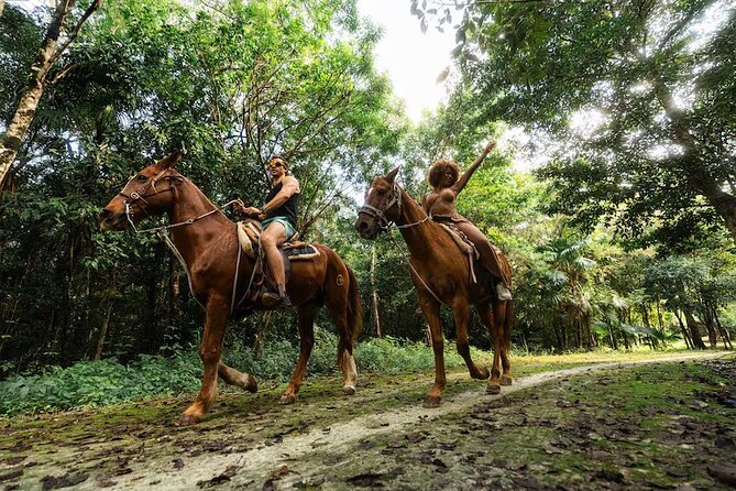 Experience ATV, Ziplines, Cenote and Horses Ride in Cancún - Key Things to Know Before You Go