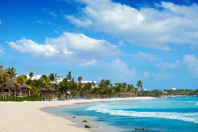 Experience swimming with turtles and explore the ruins of Tulum. Lunch included. - Price and Logistics: Is This Tour a Good Deal?