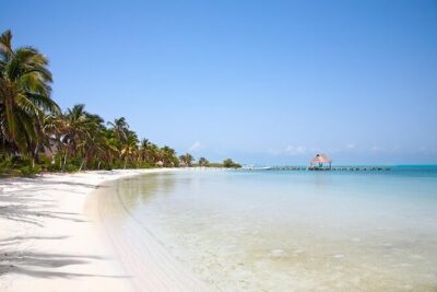 Explore Contoy Island - Hotel pickup, small-group logistics, and what to expect on the water