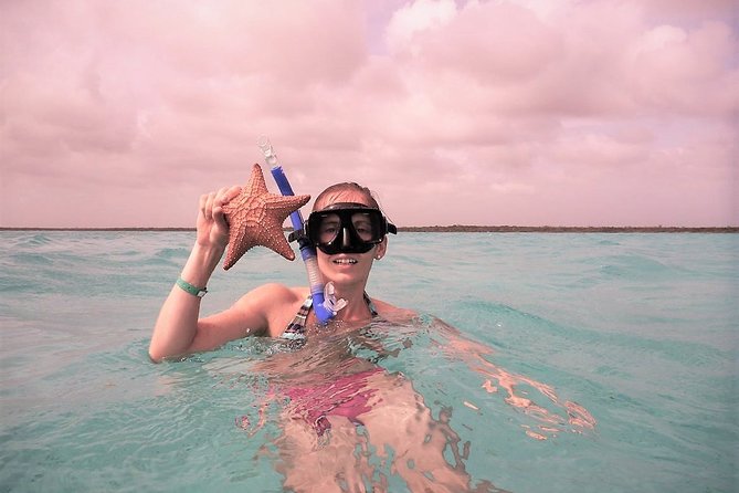 Explore El Cielo in Cozumel. Snorkel in 3 different reefs & visit Cielito Beach. - Cancun to Cozumel: How the Timing Actually Works