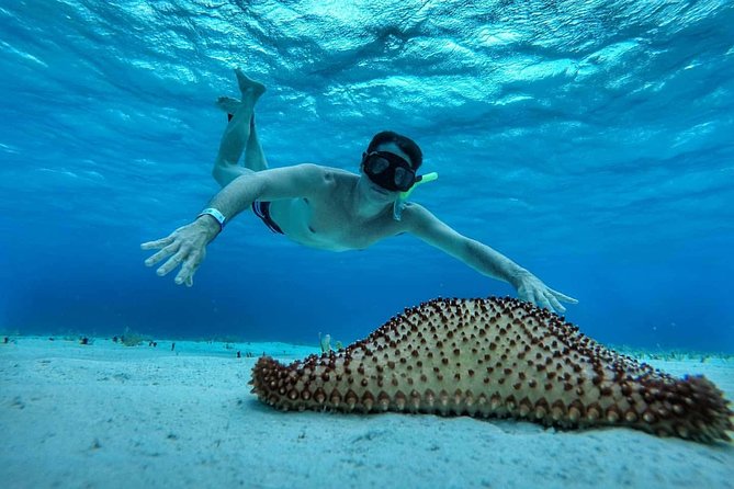Explore El Cielo in Cozumel. Snorkel in 3 different reefs & visit Cielito Beach. - Reef Stop 3: El Cielo’s White Sandbar and Starfish Rules
