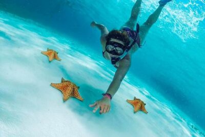 Explore El Cielo in Cozumel. Snorkel in 3 different reefs & visit Cielito Beach. - Reef Stop 2: Colombia Reef’s Coral Focus