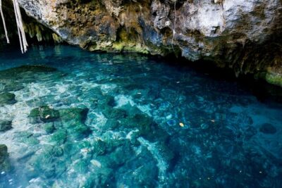 Explore Tulum and Dos Ojos Cenote with lunch and transportation - Pickup timing from Cancun: why the morning matters