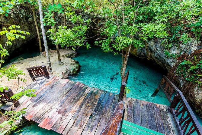 Explore Tulum and Dos Ojos Cenote with lunch and transportation - Dos Ojos Cenotes Park: where the swimming is the main event