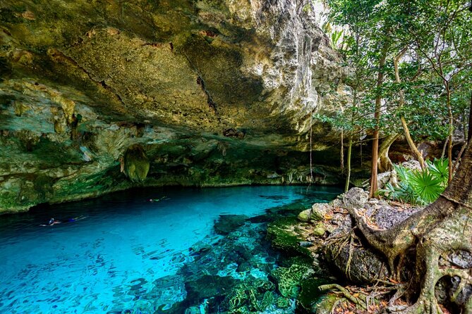Explore Tulum and Dos Ojos Cenote with lunch and transportation - Lunch in Tulum region: real Mexican food, mixed expectations