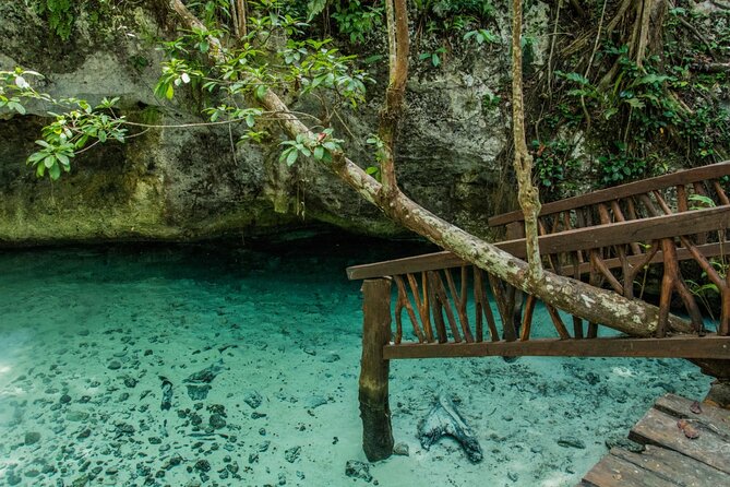 Explore Tulum and Dos Ojos Cenote with lunch and transportation - Guides, English, and the small details that change everything