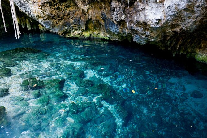 Explore Tulum and Dos Ojos Cenote with lunch and transportation - Pickup timing from Cancun: why the morning matters