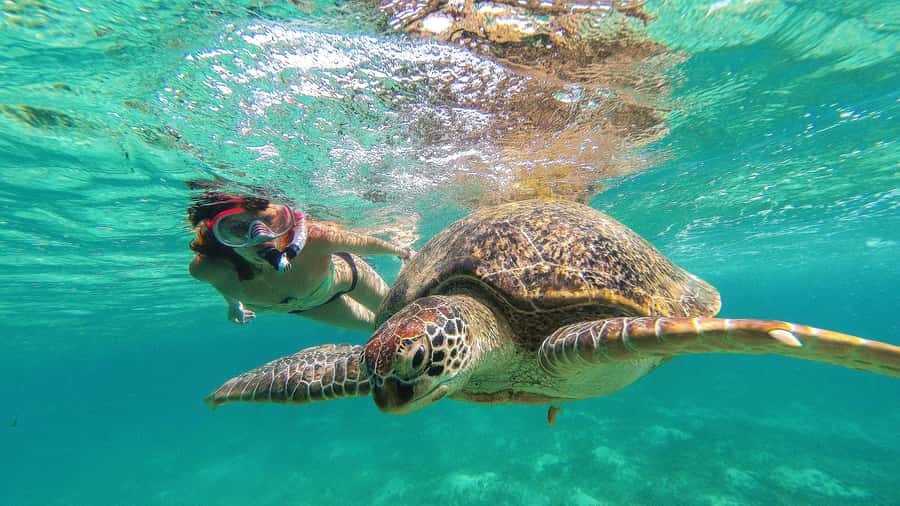 From Cancun: Day Trip to Tulum and Mariposa Cenote - Don’t rush the Tulum beach break