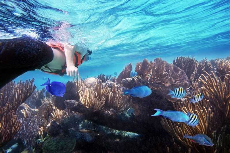 From Cancun: Garrafon Reef Park Admission with Ferry Tickets - Zip-line and panoramic views: the park’s best “wow from above” moment