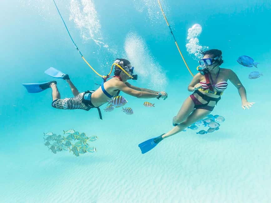 From Cancun: Xcaret Park All-Inclusive - From Cancun to Xcaret Park: the day-trip rhythm