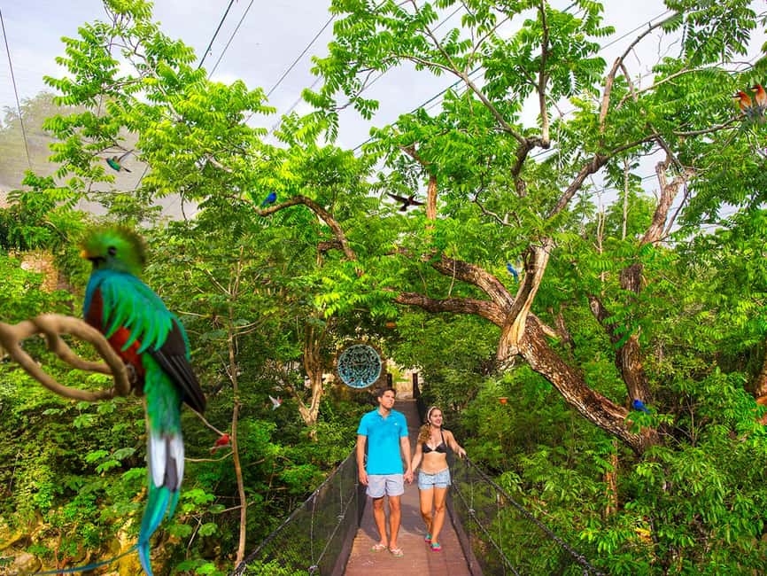 From Playa del Carmen: Xcaret Plus Park, the complete experience - How the Plus package changes your day in the park