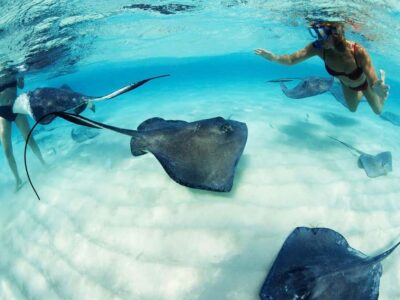 From Riviera Maya: Xcaret Park Plus, the complete experience - Price and what makes it feel like $218 well spent