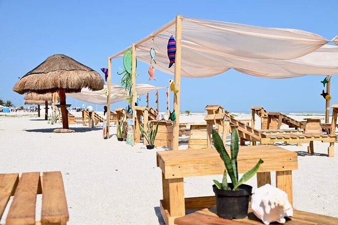 Full Day Tour of Holbox Island and Yalahau Cenote with Lunch - Why this day starts at 6:00 am (and why that’s smart)