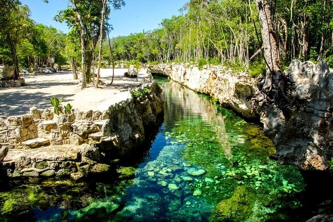 Full Day Tour to 5 Magical Cenotes in the Riviera Maya - Why this Riviera Maya cenote day feels different