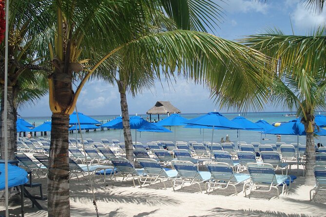 Full day tour to El Cielo in Cozumel Snorkeling and Lunch - Getting there: ferries, regrouping, and why the day feels long