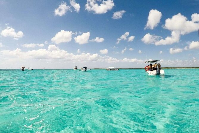Full day tour to El Cielo in Cozumel Snorkeling and Lunch - Entering El Cielo: starfish time at Playa El Cielo