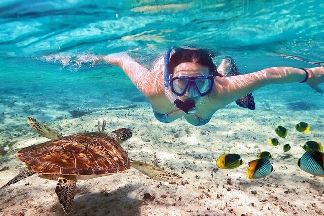 Full day tour to El Cielo in Cozumel Snorkeling and Lunch - Beach club time in Cozumel: lunch, facilities, and the downtime you need