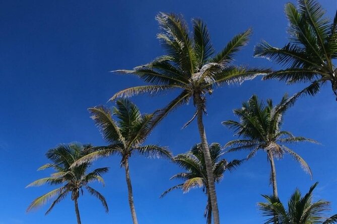 Full Day Tour to Isla Contoy and Isla Mujeres from Cancun - How this day is paced: long enough to matter, short enough to stay fun
